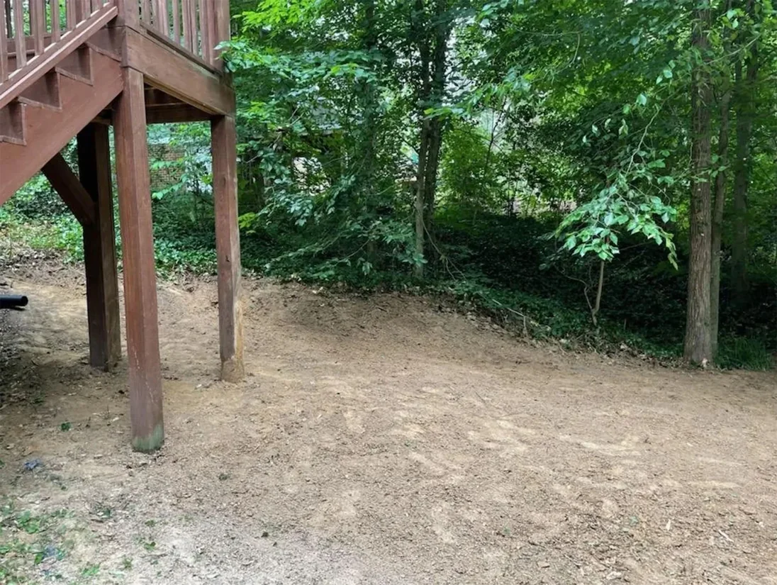 After overgrowth removal — open, cleared yard
